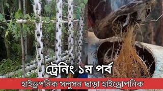 হাইড্রোপনিক পদ্ধতিতে সবজি ও ফলের চাষ, ট্রেনিং পর্ব ১ হাইড্রপনিকে চারা রোপণ পদ্ধতি Hydroponics in Bd