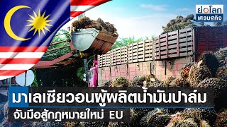 มาเลเซียวอนผู้ผลิตน้ำมันปาล์มจับมือสู้กฎหมายใหม่ EU | ย่อโลกเศรษฐกิจ 13ม.ค.66