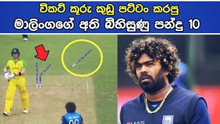 මාලිංගගේ සුපිරිම යෝකර් 10| top 10 malinga's best yorkers in cricket| lasith malinga| sl cricket