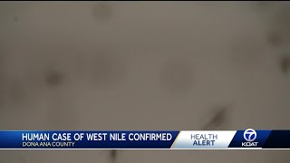 First human case of West Nile virus hits New Mexico this year