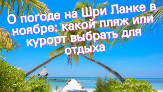 О погоде на Шри Ланке в ноябре: какой пляж или курорт выбрать для отдыха