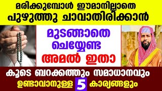 ജീവിതത്തിൽ സമാദാനം ഉണ്ടാവാനുള്ള 5 കാര്യങ്ങളും ഈമാനില്ലാതെ ചാവാതിരിക്കാൻ ചെയ്യേണ്ട അമലും ഇതാ  Latest