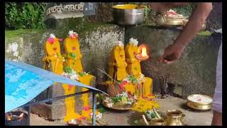 Naga Pooja നാഗപൂജ - Ayilya Pooja ആയില്യ പൂജ Noorum Palum at Sree Ayyappa Temple Thachampara