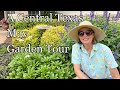 A Central Texas May Garden Tour