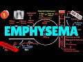 EMPHYSEMA Pathogenesis