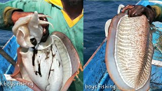 கனவா மீன்ல இவ்வளவு விஷயம் இருக்கா?|Is there so much in Kanava fish?