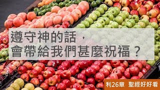 [聖經好好看] 利未記-第26章 守命之福