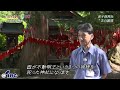 ぶっくまーく岩手　＃９５「卯子酉神社・五百羅漢」岩手県遠野市【歴史建造物編】