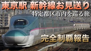 【JR特定都区市内巡り最終回】新幹線お見送りライブin東京駅 2025.1.1【完全制覇】