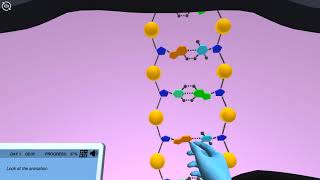 DNA Packaging and Cell Division (3D animation by Labster)
