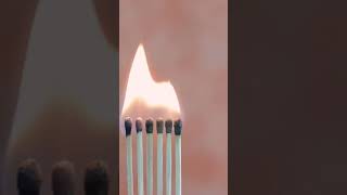 Best Matches Chain Reaction - Match Burning Time-Lapse - Inside Viral Shorts