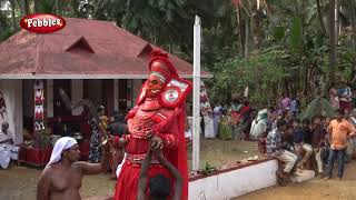 Nagakali Thira  || നാഗകാളി തിറ || thirayattam,nagakali kamakshya