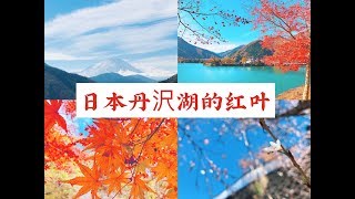 4K日本自驾之神奈川县丹沢湖-富士山以东的湖泊/秋天红叶