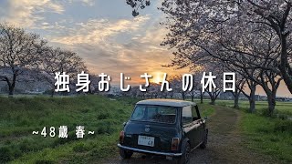 ローバーミニとお出かけ【vlog】桜散策と福岡グルメ#ローバーミニ #classicmini #草場川の桜並木