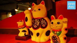 招き猫の数々！岡山市北区金山寺の招き猫美術館へ行こう！ - Japan Pets