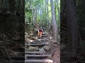 筑波山、登山。御幸ヶ原コース、2時間くらいで登れます。帰りはケーブルカーでのんびり下山。