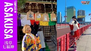 【浅草七福神巡り】Asakusa Shrine \u0026 Temple tour! SHICHIFUKUJIN MEGURI - Get New Year's Luck!