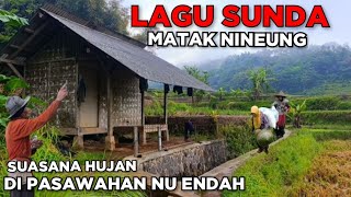 LAGU SUNDA MATAK NINEUNG., SUASANAHUJAN DI PASAWAHAN NU ENDAH #tasikvlogofficial