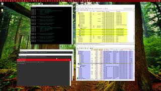 A Sample Frida SystemProcessInformation Hook