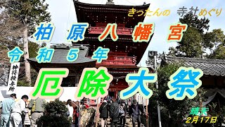 きったんの寺社めぐり　柏原八幡宮　厄除大祭230217