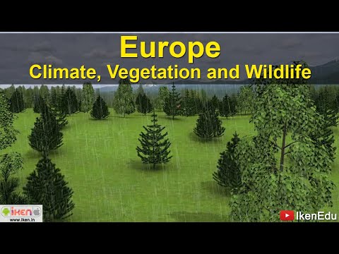 What is the name of the large dense forest in West Central Europe?
