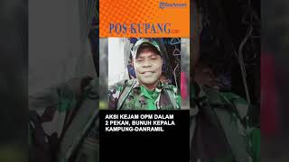 Rentetan Aksi Kejam OPM dalam 2 Pekan Terakhir, Bunuh Kepala Kampung-Danramil