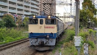 [クリーンかわさき号] 4月3日小田栄駅 新鶴見A64運用 153レ  EF65 2074