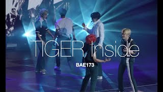 Unedit* #BAE173 Tiger  Inside full [4K]  PEAKTIME CONCERT \