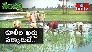 అన్నదాతకు ఏపీ సర్కారు సాయం...! Nela Talli Special Story | Telugu News | hmtv