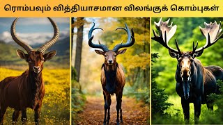 ரொம்பவும் வித்தியாசமான விலங்குக் கொம்புகள் | Top 5 Different Animal Horn | Unbelievable Facts - MrUF