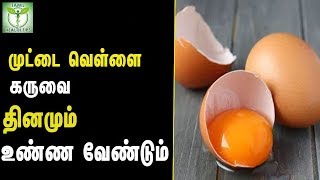 முட்டை வெள்ளை   கருவை    தினமும்   உண்ண வேண்டும் -  தமிழ் ஆரோக்கிய குறிப்புகள்