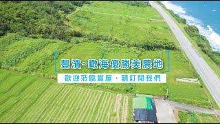 【豐濱~瞰海優勝美農地】14F312│區域：豐濱鄉│地坪：2220.64坪│售價：2197萬│永慶花蓮吉安中山店