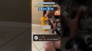 社会百态 | 男子买猫粮广告图撞脸自家小猫，网友：查一下吧，它名下资产可能比你多