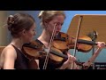 Tchaikovsky Serenade for String Orchestra in C-Major Op. 48 (Valse: Moderato. Tempo di valse)