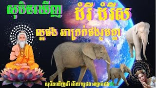 សុបិនឃើញដំរីគឺល្អផង និងអាក្រក់ផងមករួមគ្នា