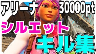 【シルエット】アリーナ30000ポイントのPAD最強によるキル集!!【フォートナイト】