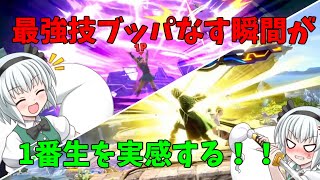 [スマブラSP] メガンテを打つ瞬間が1番生を実感する‼ メガンテ芸人妖夢  (ゆっくり実況)