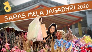 SARAS MELA YAMUNA NAGAR/JAGADHRI 2020 VLOG