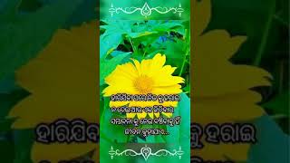 anuchinta in odia|odia quotes! ଜୀବନ... #shorts #short #anuchinta #nitibani #odia #viral