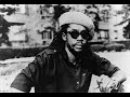 Peter Tosh - Babylon Queendom (Lyrics cc)