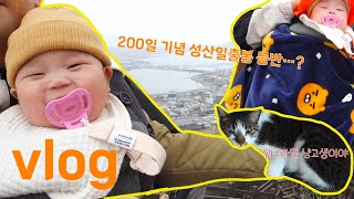 육아육묘vlog | 6개월아기, 3살남매묘 | 제주도 2박 3일 여행✈️, 여행 짐🧳 리스트, 여행 전 고양이 집사🤵의 할 일, 생후200일 성산일출봉⛰️ 등반