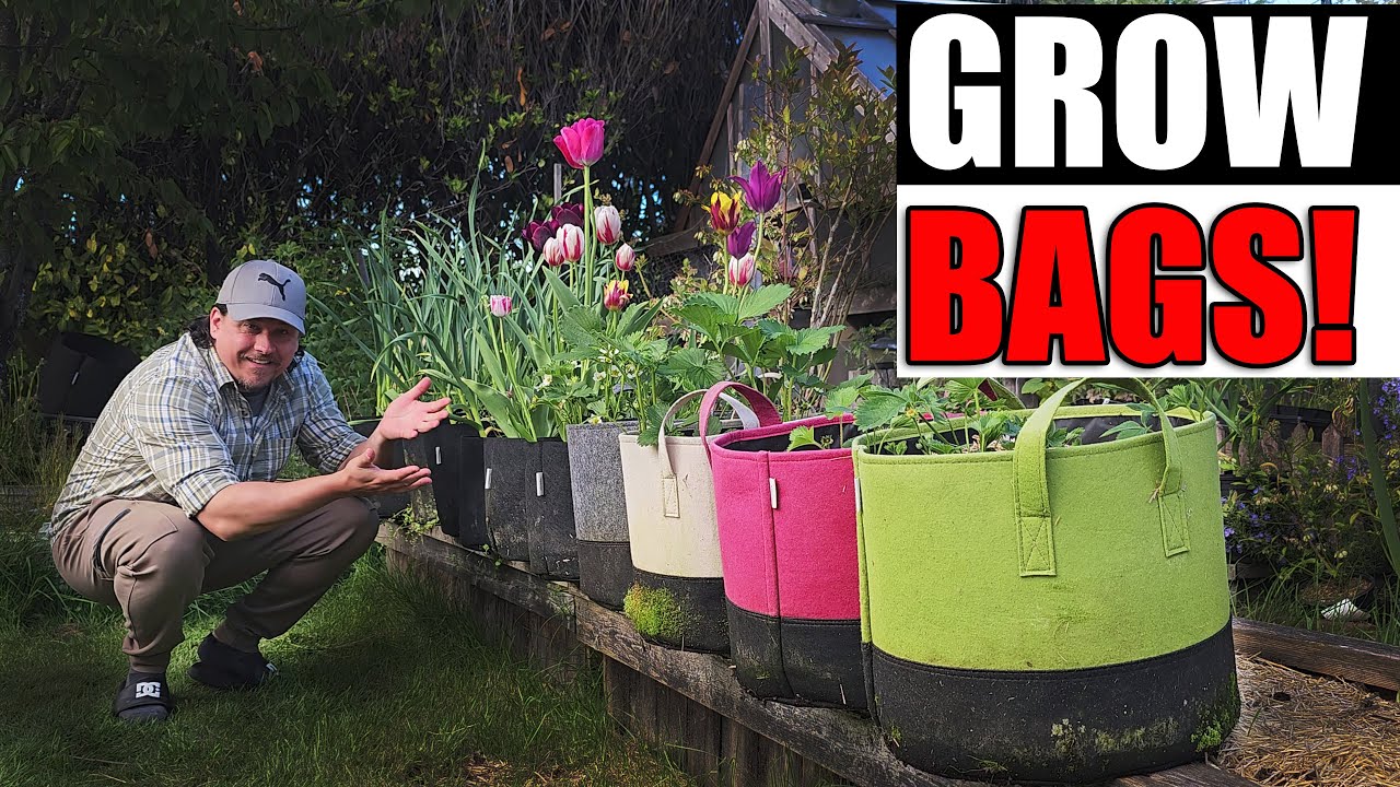 6 Benefits Of Fabric Grow Bags - YouTube