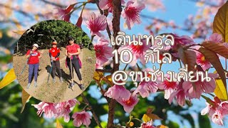 เดินเทรล 10 กิโล@ขุนช่างเคี่ยน