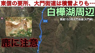 国道153号大門街道【下り】東信の要所、大門街道は積雪よりも鹿に注意　＃自動車　#峠道　#ゲレンデ