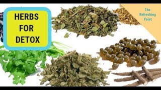 Effective Herbs for Detoxification that will Strengthen and Support the Liver & Kidneys