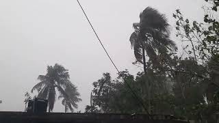 বাগেরহাটে স্বস্তির বৃষ্টি।।Torrential rain in Bagerhat।।