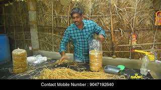 அதிக லாபம் தரும் காளான் வளர்ப்பு | Mushroom Cultivation |Mushroom Seed Preparation | Madurai