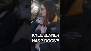 Kylie Jenner's K-9 Dog Pack Names Reveiled By Sister Kendall!🐾 #shorts #kendalljenner #kyliejenner