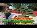 PENANCAPAN BENDERA DI PAMERAN BONSAI NASIONAL JOMBANG 2024