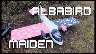 Finwing Albabird - Successful Maiden